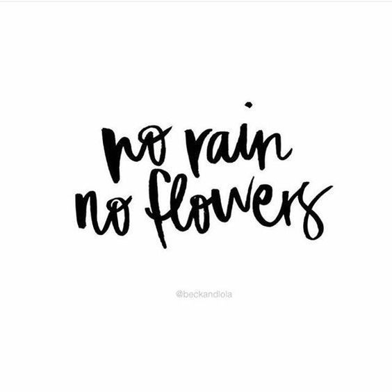 no rain no flowers